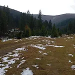Holiday home шепіт лісу *