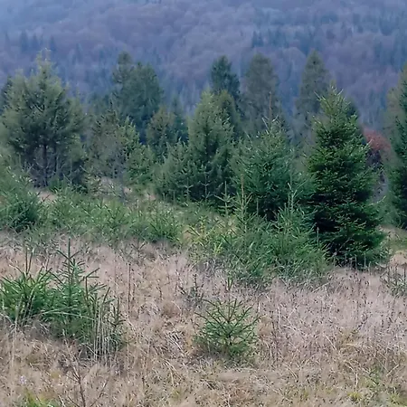 шепіт лісу Holiday home *
