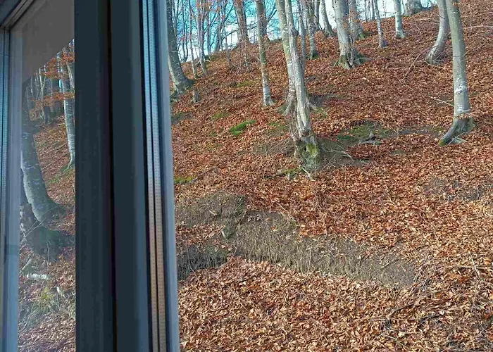 шепіт лісу بيت للعطل