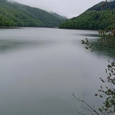 Vakantiehuis шепіт лісу