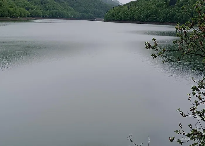 Vakantiehuis шепіт лісу